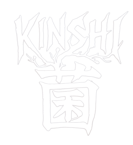 Kinshi Corp Logo